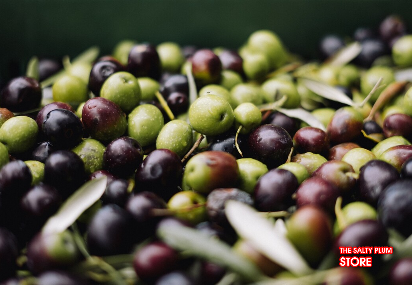 Fresh olives