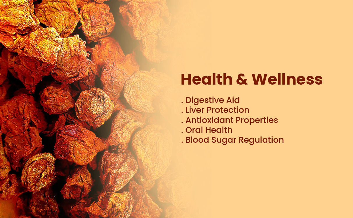 Health & Wellness of Salty Plum