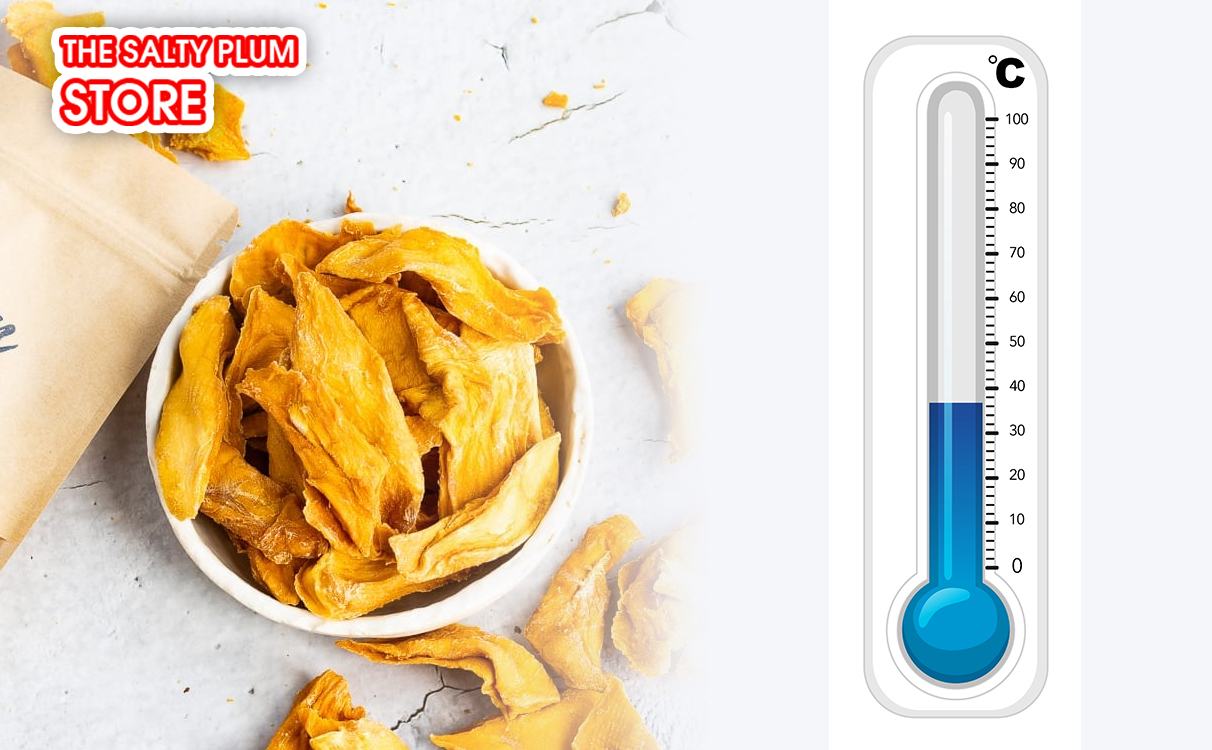 Low-Temperature Drying 